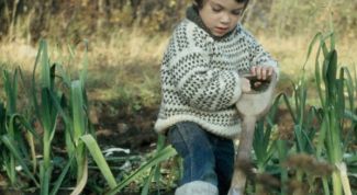 Картинка по теме - как приучать детей к труду