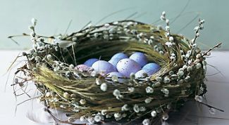 Картинка по теме - как сплести гнездо