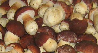 Картинка по теме - как размораживать грибы