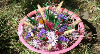 Картинка по теме - как узнать название цветов