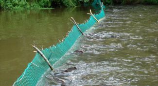 Картинка по теме - как ставить сети на реке