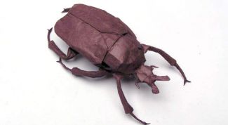 Картинка по теме - как сделать жука из бумаги