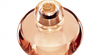 Картинка по теме - как сделать дома духи