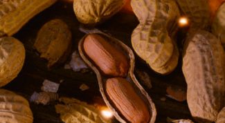 Картинка по теме - как вырастить арахис дома