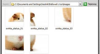 Картинка по теме - как разделить фото на несколько частей