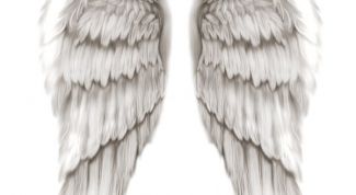 Картинка по теме - как рисовать крылья ангелов