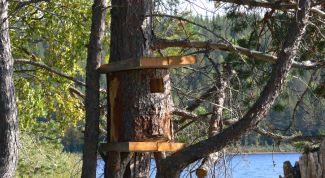 Картинка по теме - как сделать дуплянку