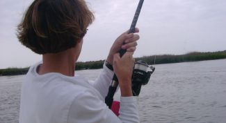 Картинка по теме - как развести навозного червя