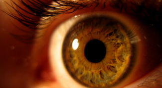 Картинка по теме - как развить в себе фотографическую память