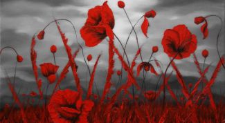 Картинка по теме - как сделать красно-черно-белые фото