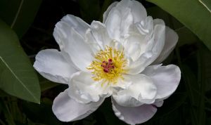 Картинка по теме - как сделать gif формат