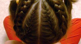 Картинка по теме - как сделать косички по всей голове самостоятельно