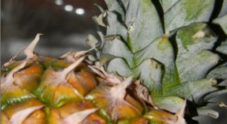 Картинка по теме - как проставить дату