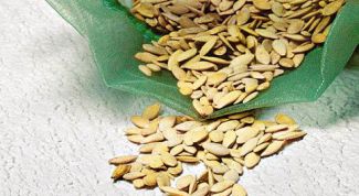 Картинка по теме - как ускорить прорастание