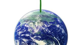 Картинка по теме - как решить проблему экологии