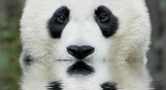 Картинка по теме - как проверить компьютеры в сети