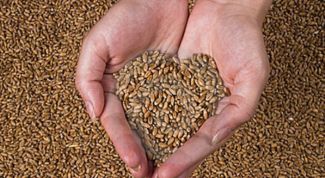 Картинка по теме - как сделать зернодробилку