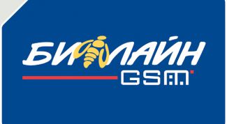 Картинка по теме - как проверить бонусы на билайне