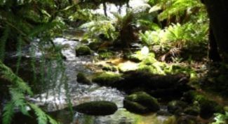 Картинка по теме - как получить силу воды