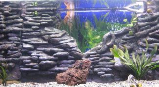 Картинка по теме - как сделать задний фон в аквариуме