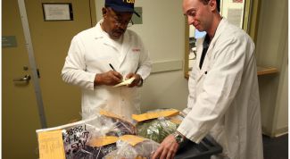 Картинка по теме - как провести ревизию в магазине