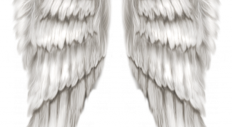 Картинка по теме - как сделать крылья на фото