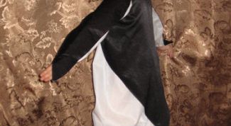 Картинка по теме - как сделать костюм птицы