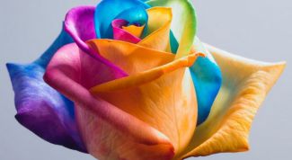 Картинка по теме - как разрисовать фото