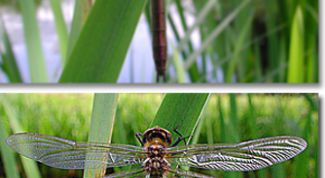 Картинка по теме - как уменьшить фотографию без потери качества