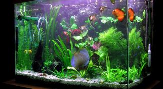 Картинка по теме - как сделать компрессор для аквариума