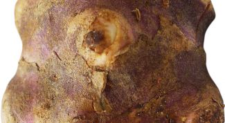 Картинка по теме - как хранить клубни