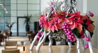 Картинка по теме - как сделать композицию из цветов