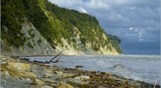 Картинка по теме - как рисовать море маслом