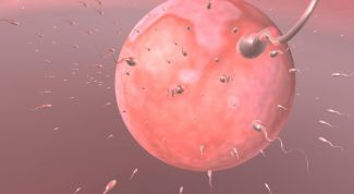 Картинка по теме - как рассчитать дни для беременности