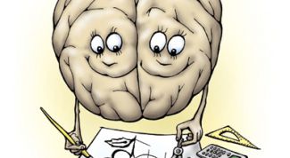 Картинка по теме - как развивать головной мозг