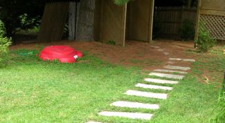 Картинка по теме - как сделать дорожки на своем участке
