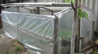Картинка по теме - как сделать автомат проветривания теплиц