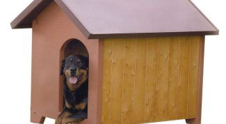 Картинка по теме - как сделать конуру