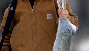 Картинка по теме - как продлить охотничий билет