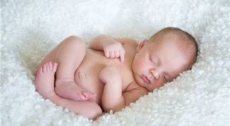 Картинка по теме - как прописать внучку