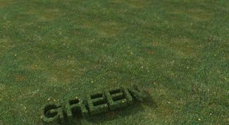 Картинка по теме - как сделать красивую надпись на фотографии