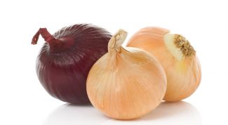 Картинка по теме - как прорастить лук