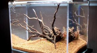 Картинка по теме - как сделать к аквариуму корягу