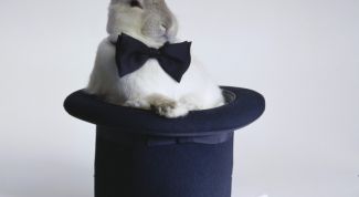 Картинка по теме - как сделать клетку для кроля