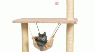 Картинка по теме - как сделать домик для котёнка