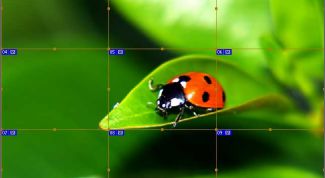 Картинка по теме - как разделить картинку на равные части