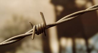 Картинка по теме - как снять судимость