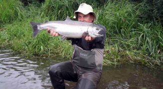 Картинка по теме - как заработать денег в русской рыбалке