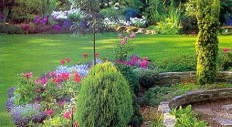 Картинка по теме - как сделать красивый цветник