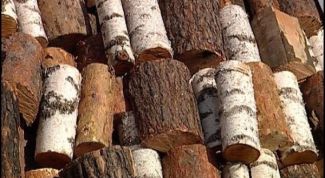 Картинка по теме - как узнать, какие у меня дрова